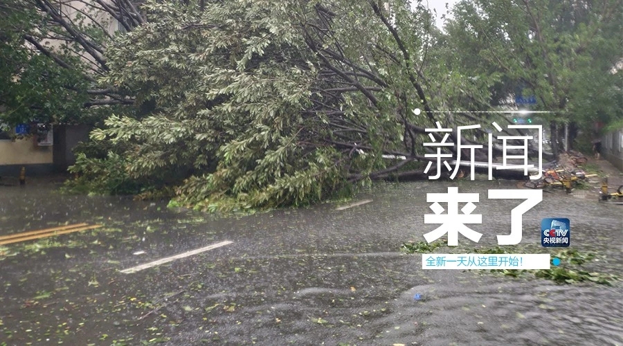 “山竹”怒過，高空塔吊你還好嗎？